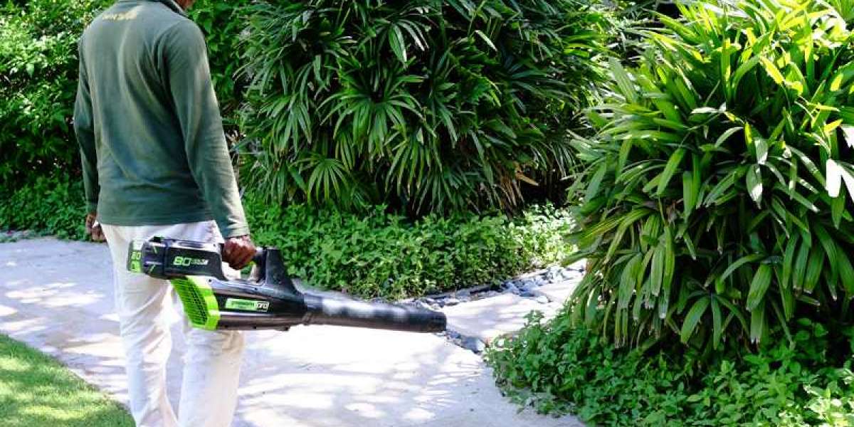 Garden Maintenance in Dubai: A Guide to Lush and Beautiful Outdoor Spaces